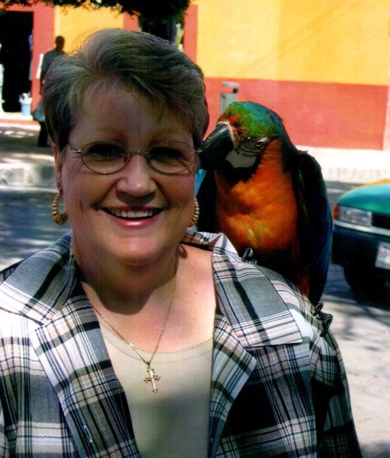 Obituario de Judy Ann Foster