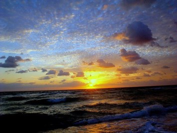 Obituary of Rene Morales