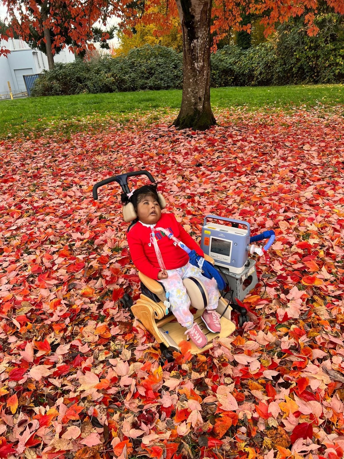 Obituary of Abigail Jireh Pedapalli