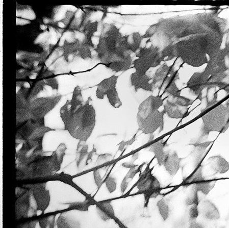 Melchior Di Giacomo Obituary Westwood NJ melchior-di-giacomo-obituary-westwood-nj