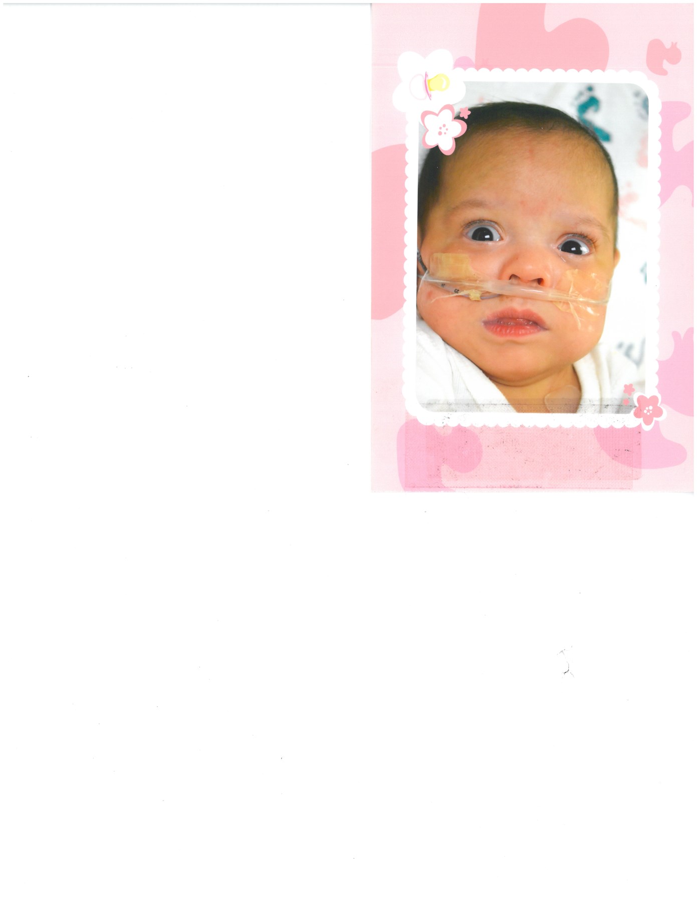 Obituary of Maria Guadalupe Delgado-Gomez