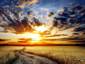 Obituary of Thomas W. Snoddy