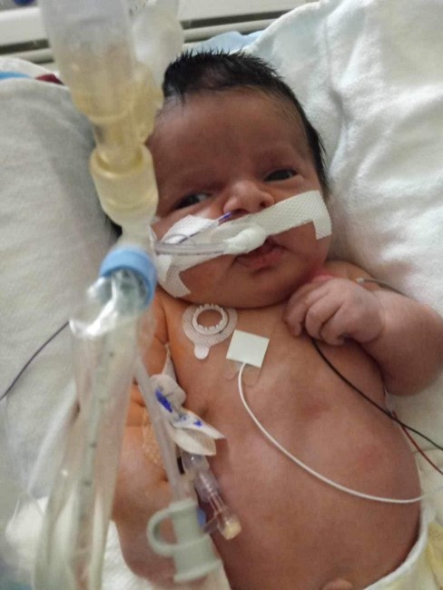 Obituary of Lorenzo Alejandro Delgado