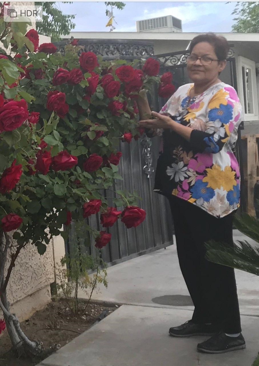 Obituary of Ana Mabel Romero