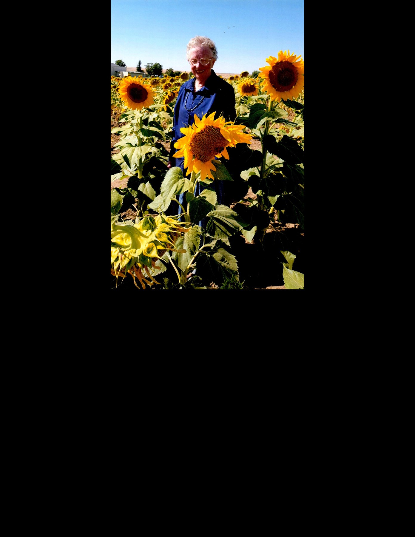 Obituary of Elaine Cronrath