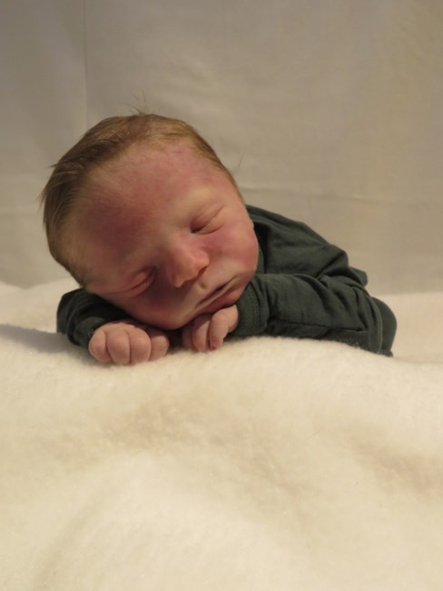 Obituary of Nico Robert Nelson
