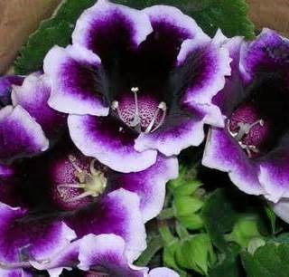 Avis de décès de Kenneth Stephens