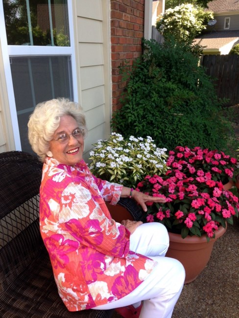 Obituary of Nancy Joyce Aliperti