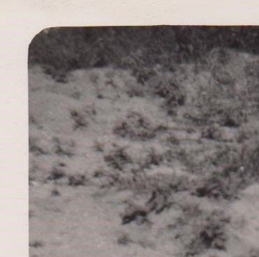 2016 hanna hall Hanna R.