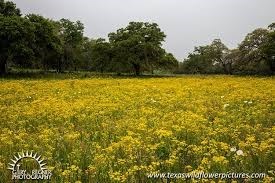 Obituary of Neal Flagg