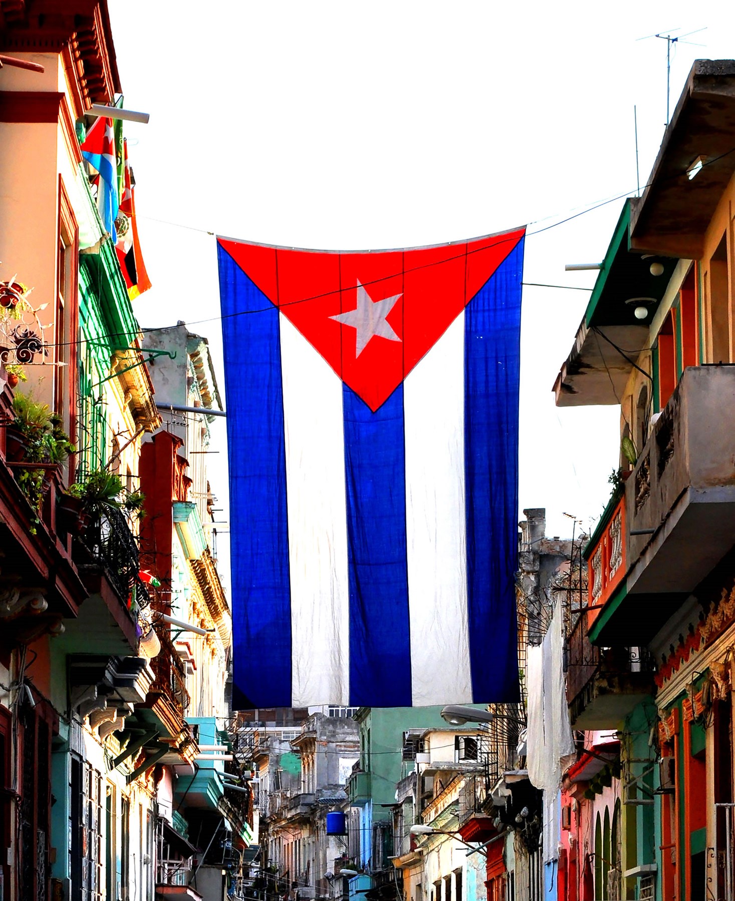 Obituary of Wilfredo Torres