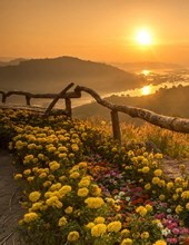 Obituary of James Lewis Litton