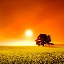 Obituary of James Salyer