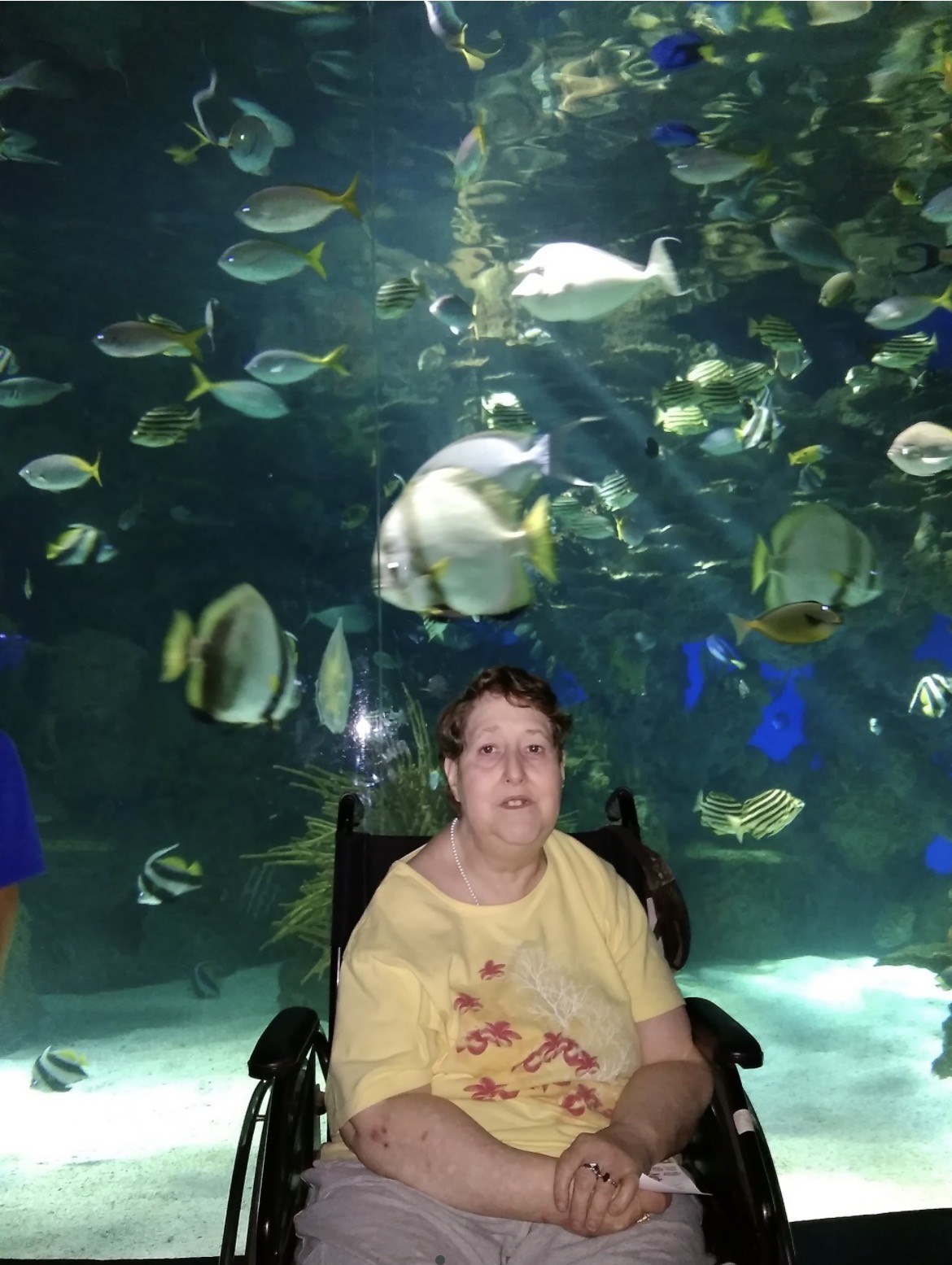 Obituary of Virginia Ellen Land