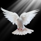 Obituary of Patrick Harvey Dykes