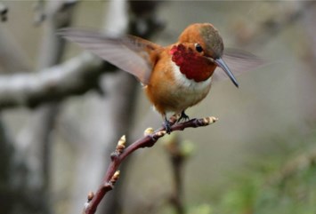 Obituary of Ruth Annie STINSON