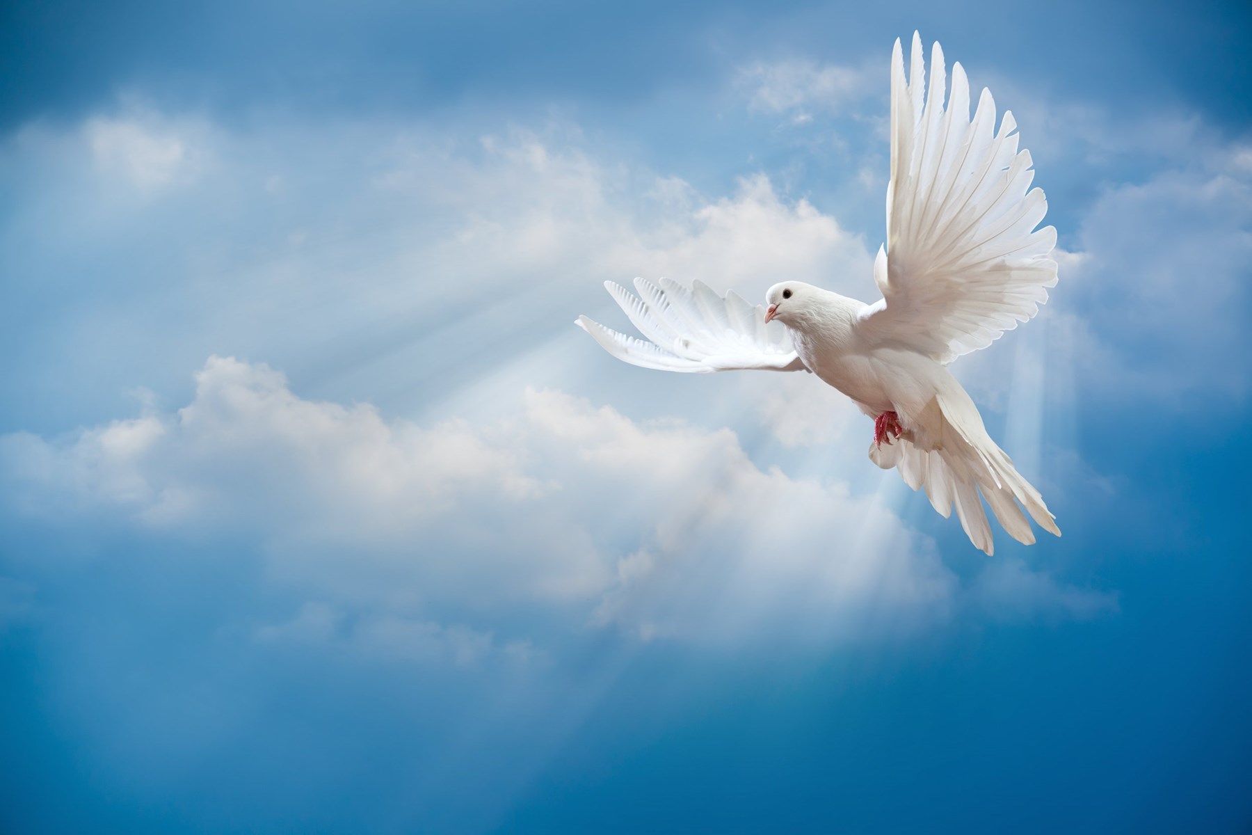 Obituary of Lester Ray Wilson