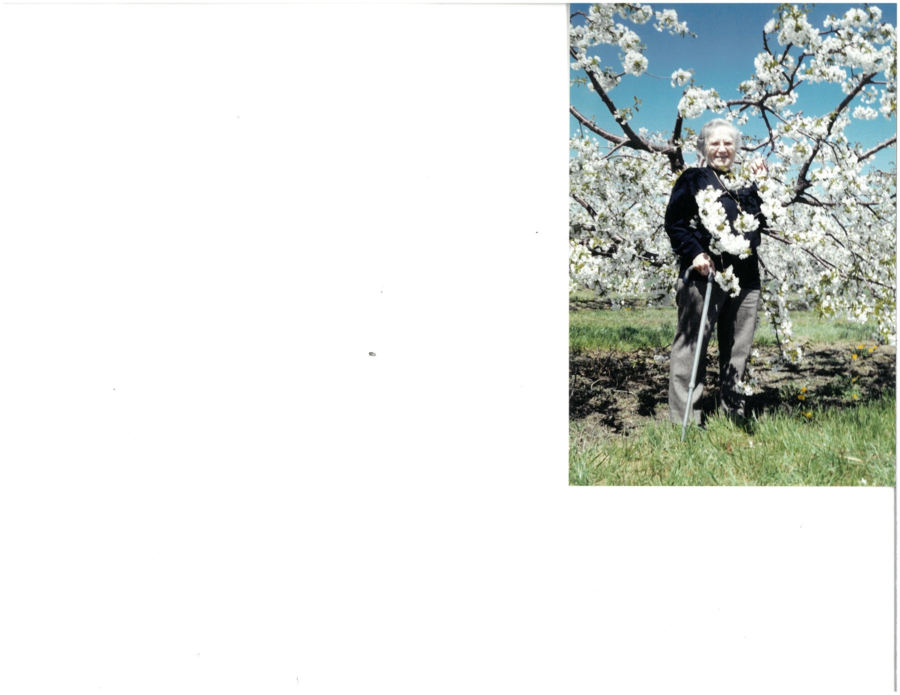 Obituary of Eghissa Atikian