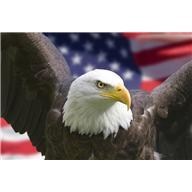 Obituary of Elvin Francis Pratt