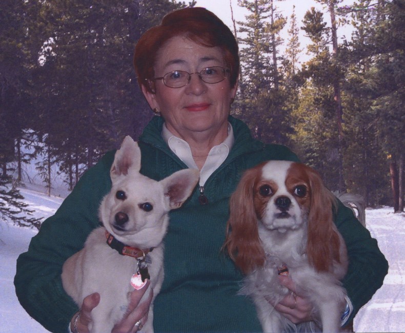 Obituary of Barbara J Headley
