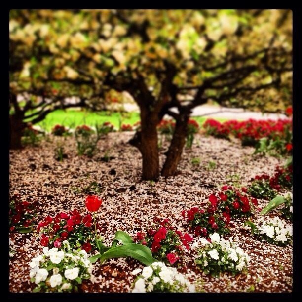 Obituary of Kyle M Knerr