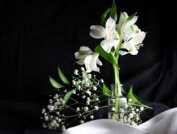 Obituary of Percy Daniel Comeslast Jr.