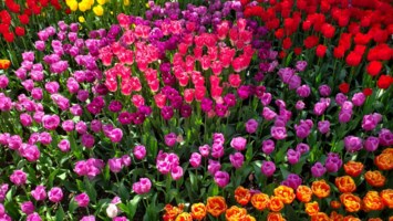 Obituary of Maureen Berg