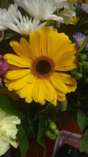 Obituary of Shannon Theresa Rudin