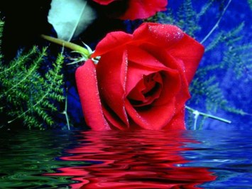 Obituary of Andrea J Kryzer