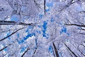 Obituary of Michael Joseph Hemphill