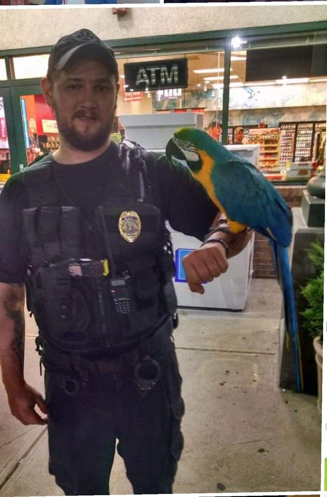 Obituary of Chris Cooper