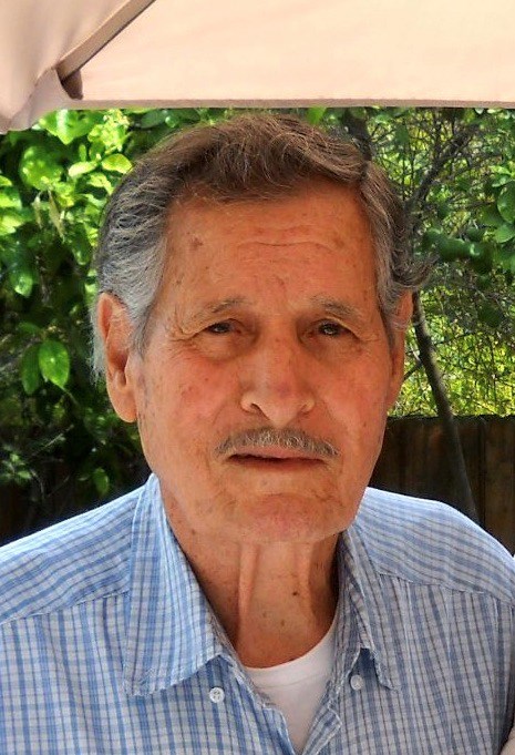 Obituary of Felix Benavidez Sainz Sr.