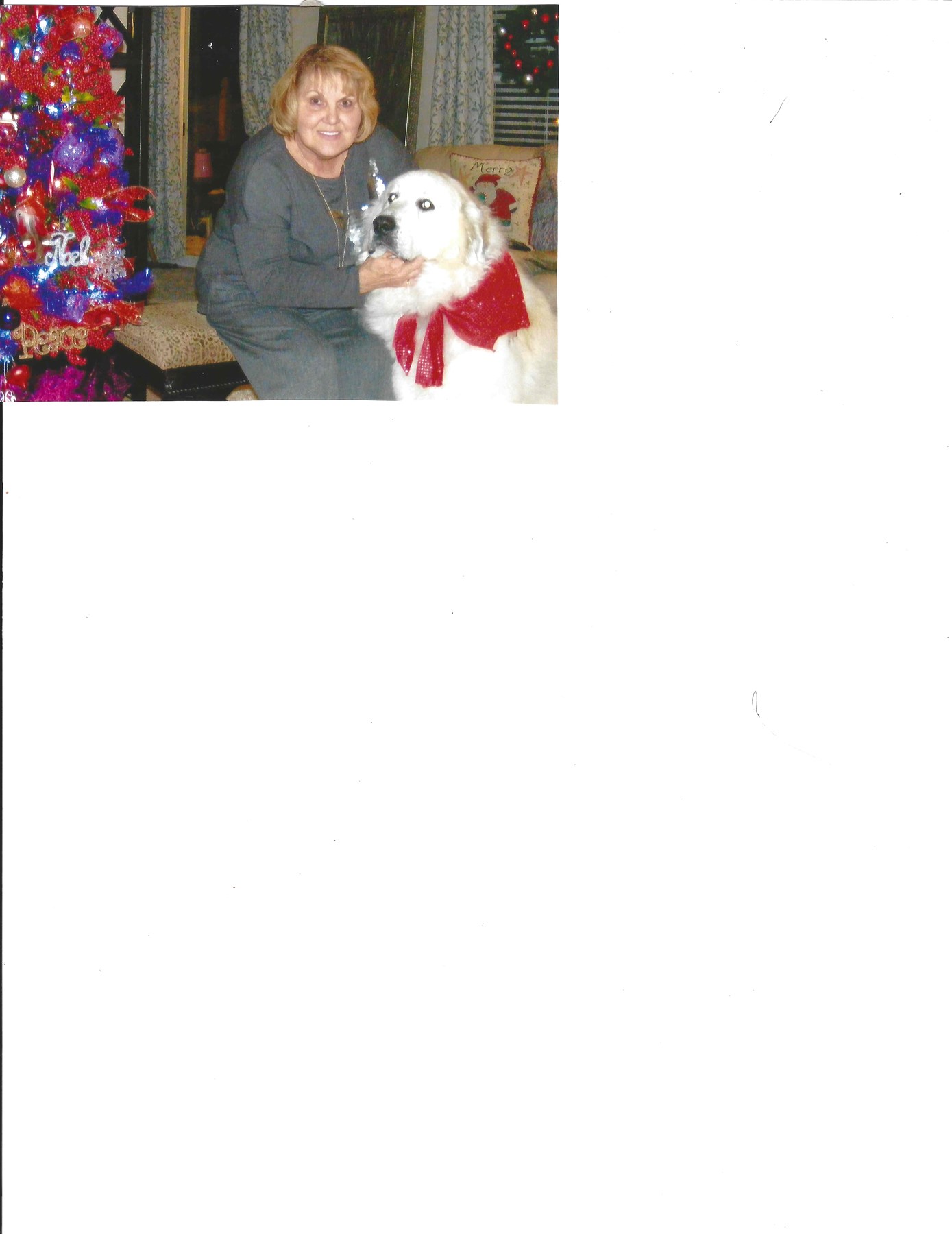 Obituary of Shirley J. Baker