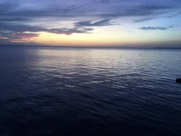 Obituario de Felicia Marie Willis