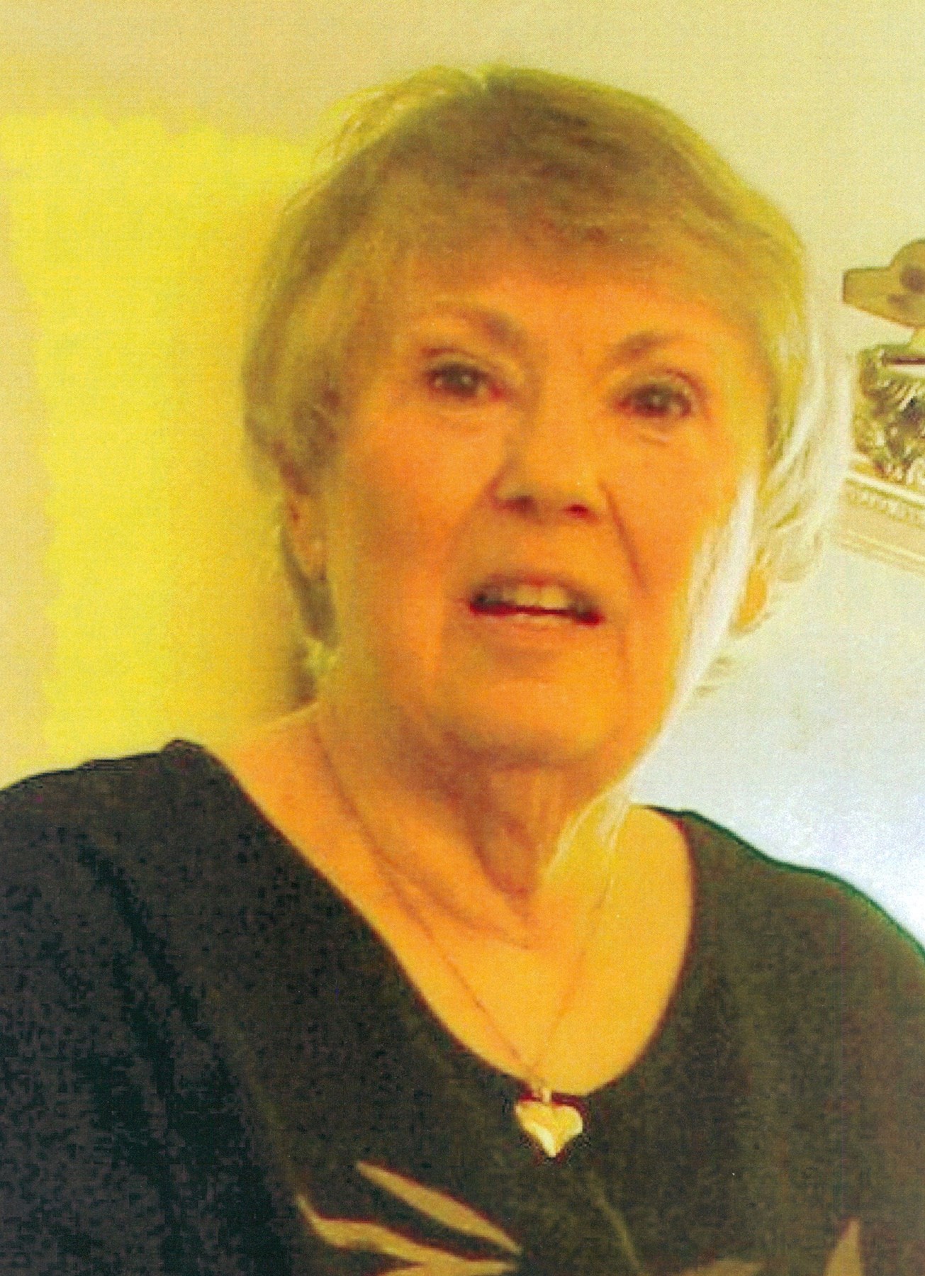 Obituary of Carol Lee Meyers