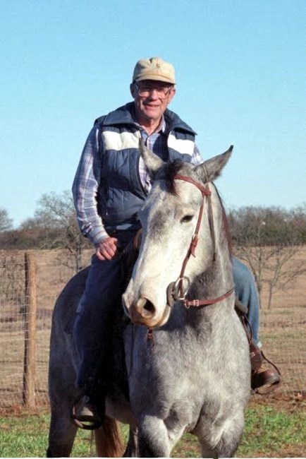 Obituary of David Arthur Harner