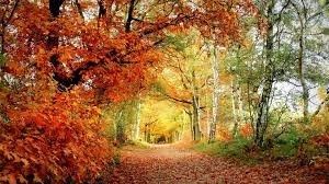 Obituary of John Richard Roof