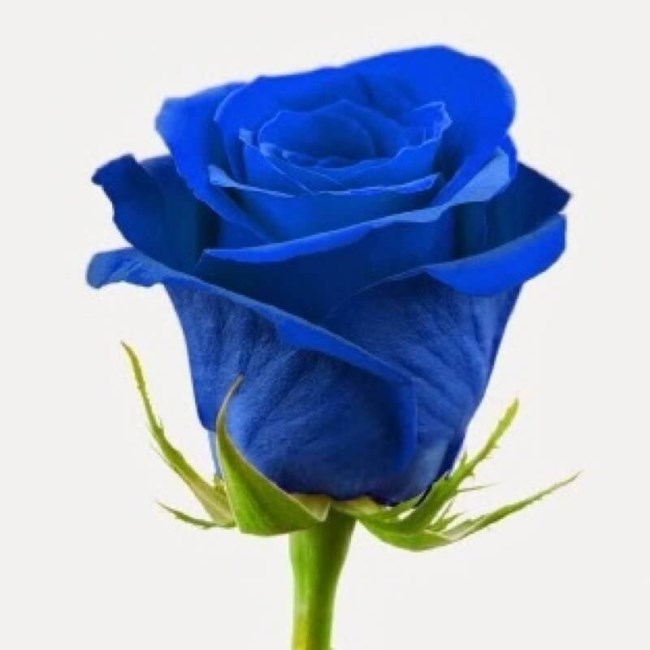 Obituary of Bill Glen Wilson