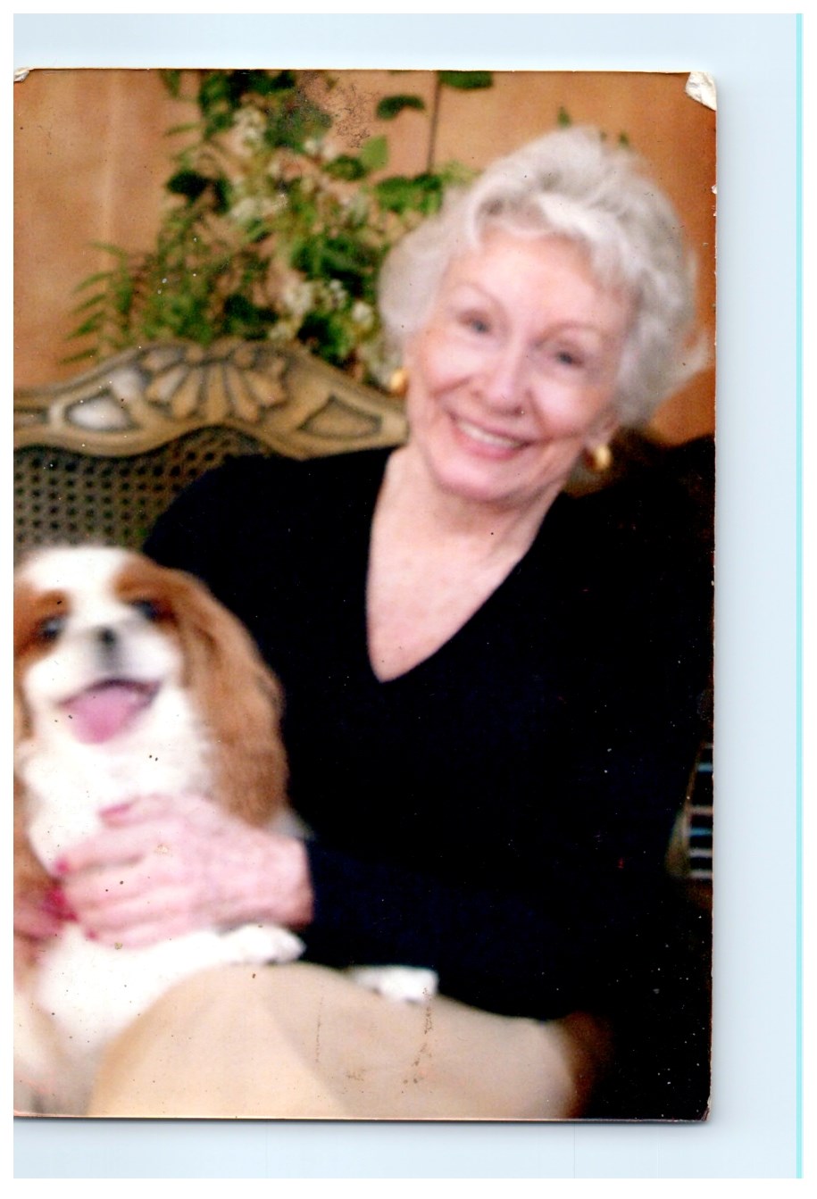 Obituary of Anne V Goiran