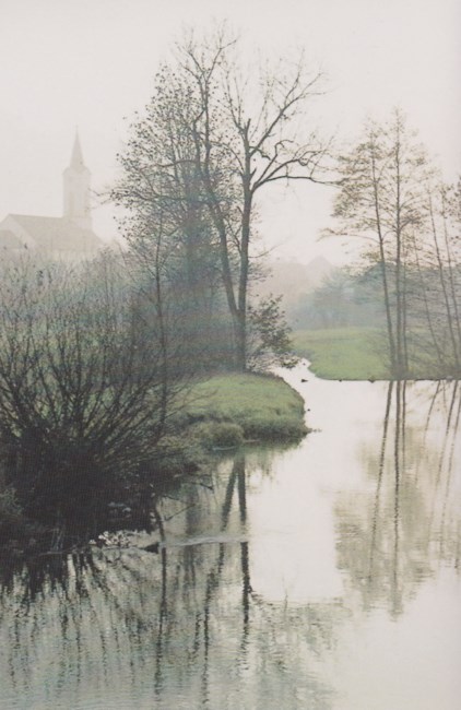 Obituary of Sheila C. Shanahan