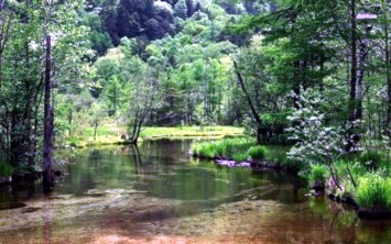 Obituary of Margaret Jones Stone