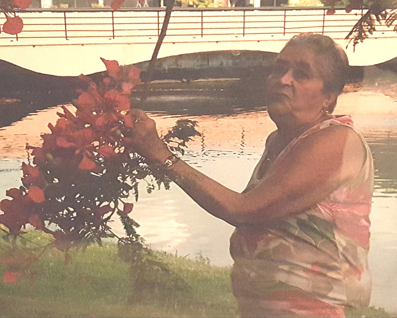 Obituary of Carmen Alicea