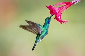 Avis de décès de Marilyn K. Lynd