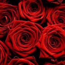 Obituary of Barbara Jean "Barbie" Blankenship