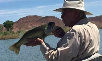 Obituary of James H. Gorman