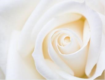 Obituario de Marie Inez Bermudes