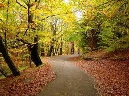 Obituario de Richard Reeves