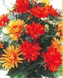 Obituary of Darlene L. Williams