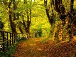 Obituary of Anthony John Cioppa