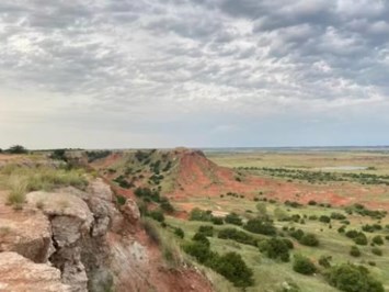 Obituary of Freddie Robert Lee Spears